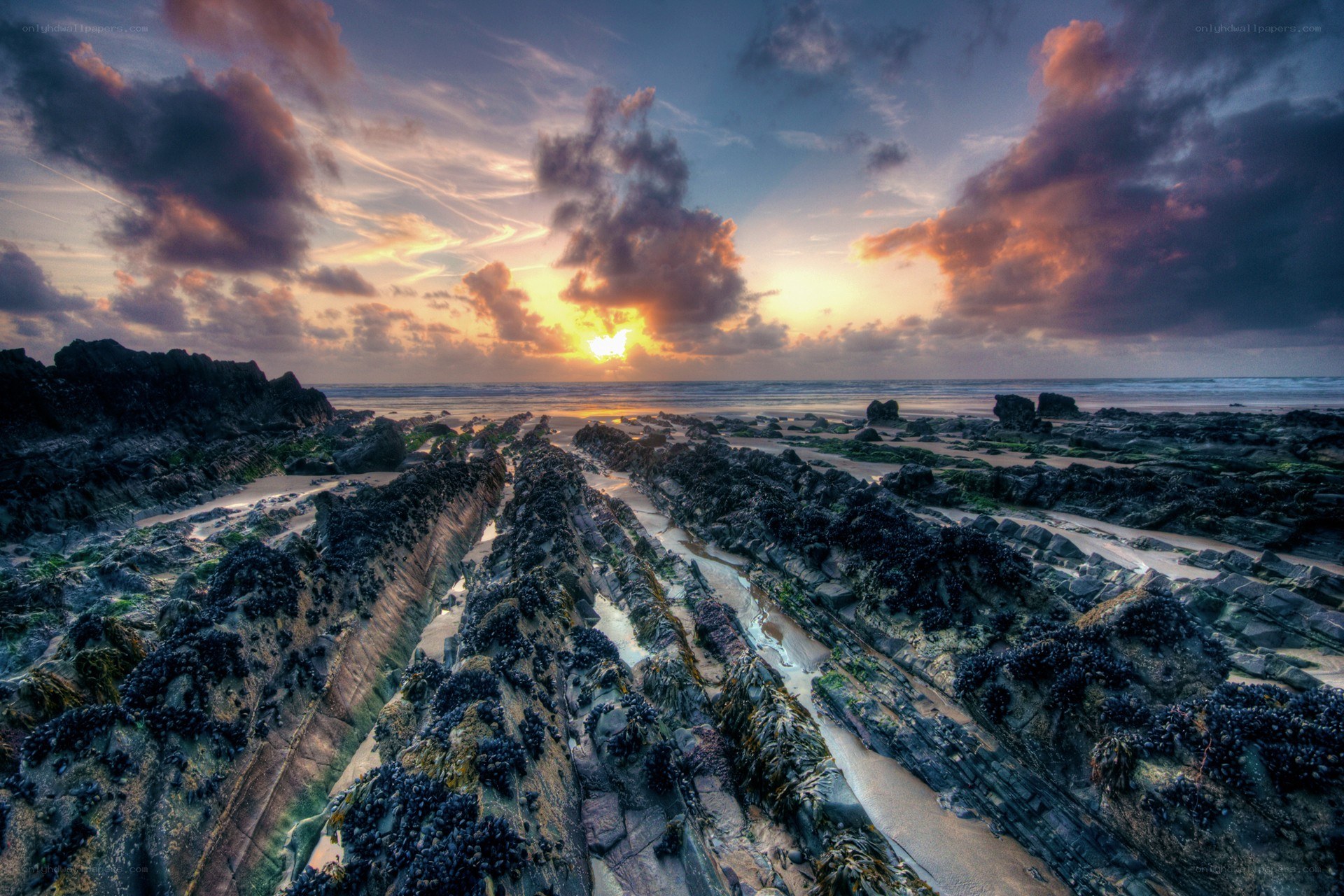 Sunset over rocky coastline