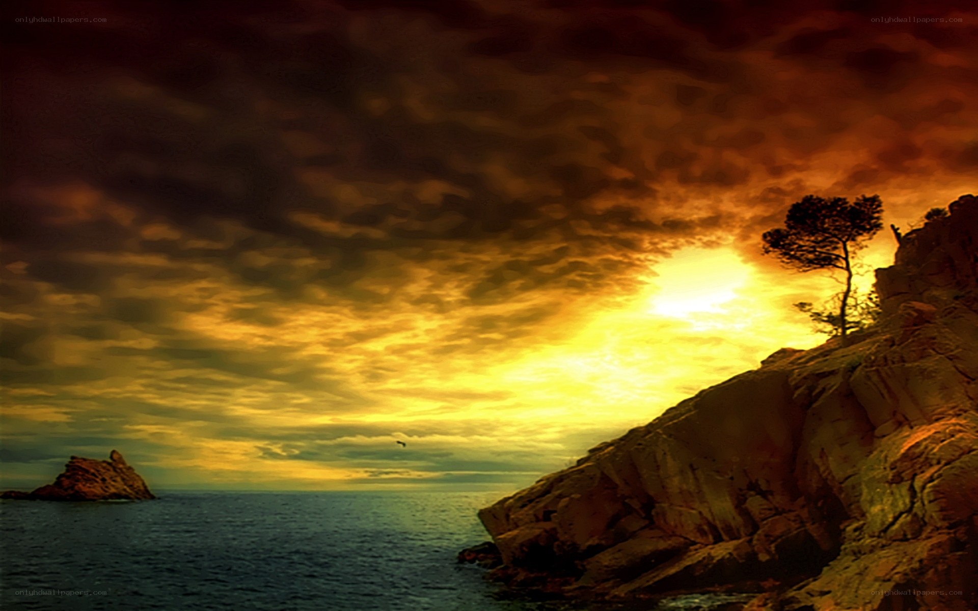 Sunset over rocky coastline