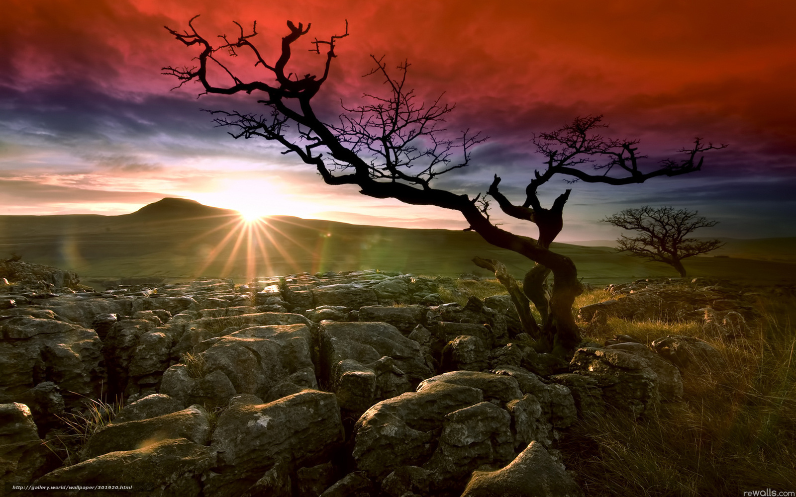 Sunset over rocky landscape