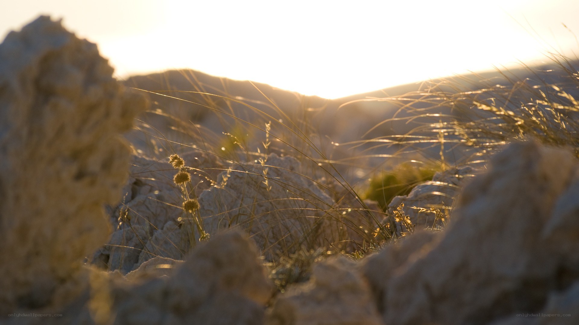 Sunset over rocky landscape