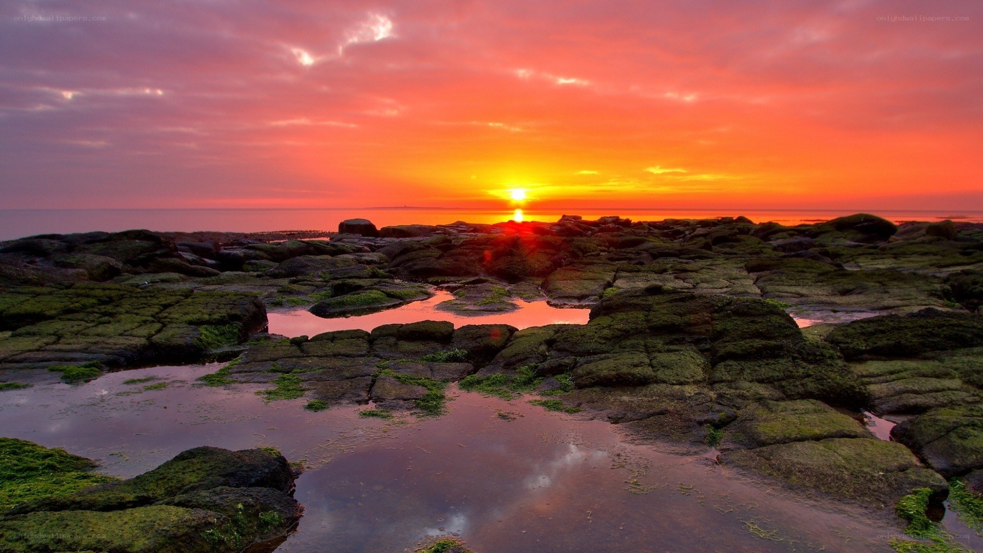 sunset over rocky shore