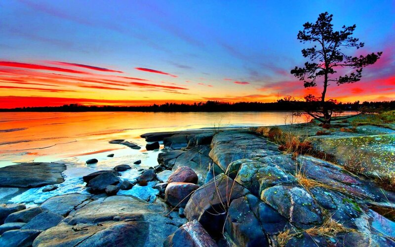 Sunset over Rocky Shore — Blue, Dramatic, Photograph, Tree, Rocks