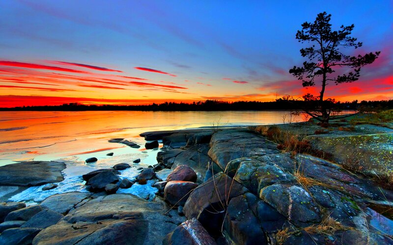 Sunset over Rocky Shore — Blue, Dramatic, Photograph, Tree