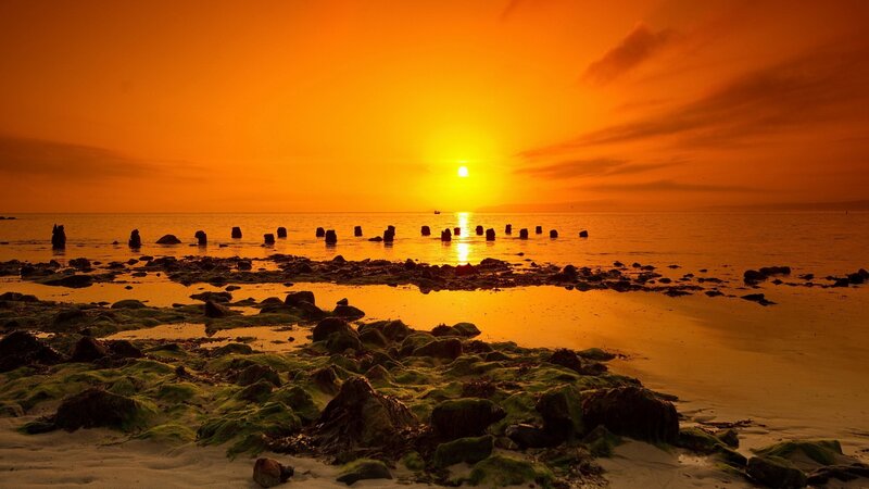 Sunset over Rocky Shore — Orange, Serene, Photograph, Sun, Ocean, Rocks, Moss