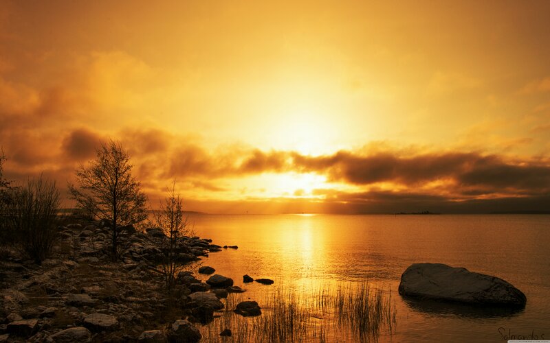 Sunset over Rocky Shore — Orange, Serene, Photograph, Trees