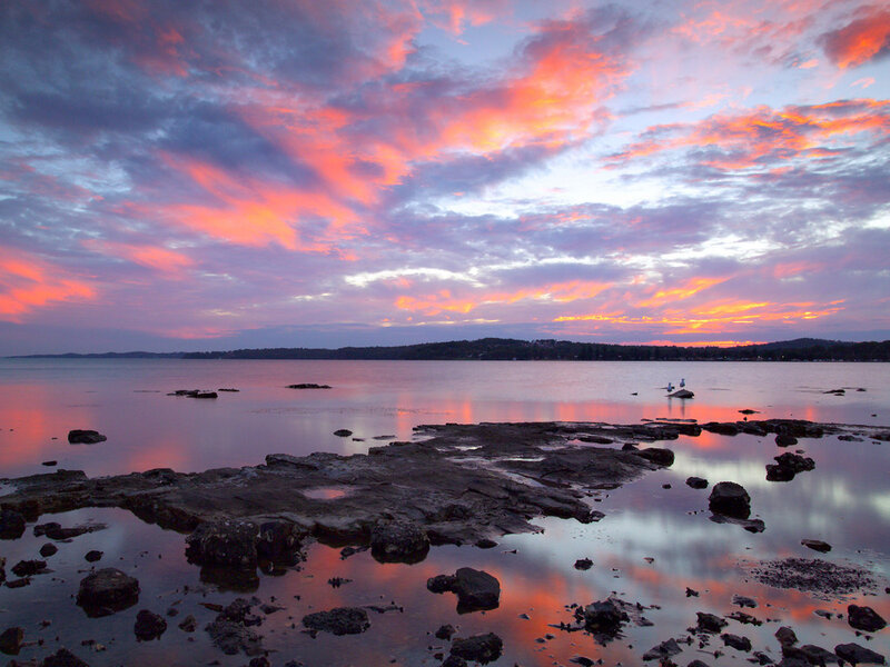 Sunset over Rocky Shore — Pink, Serene, Photograph