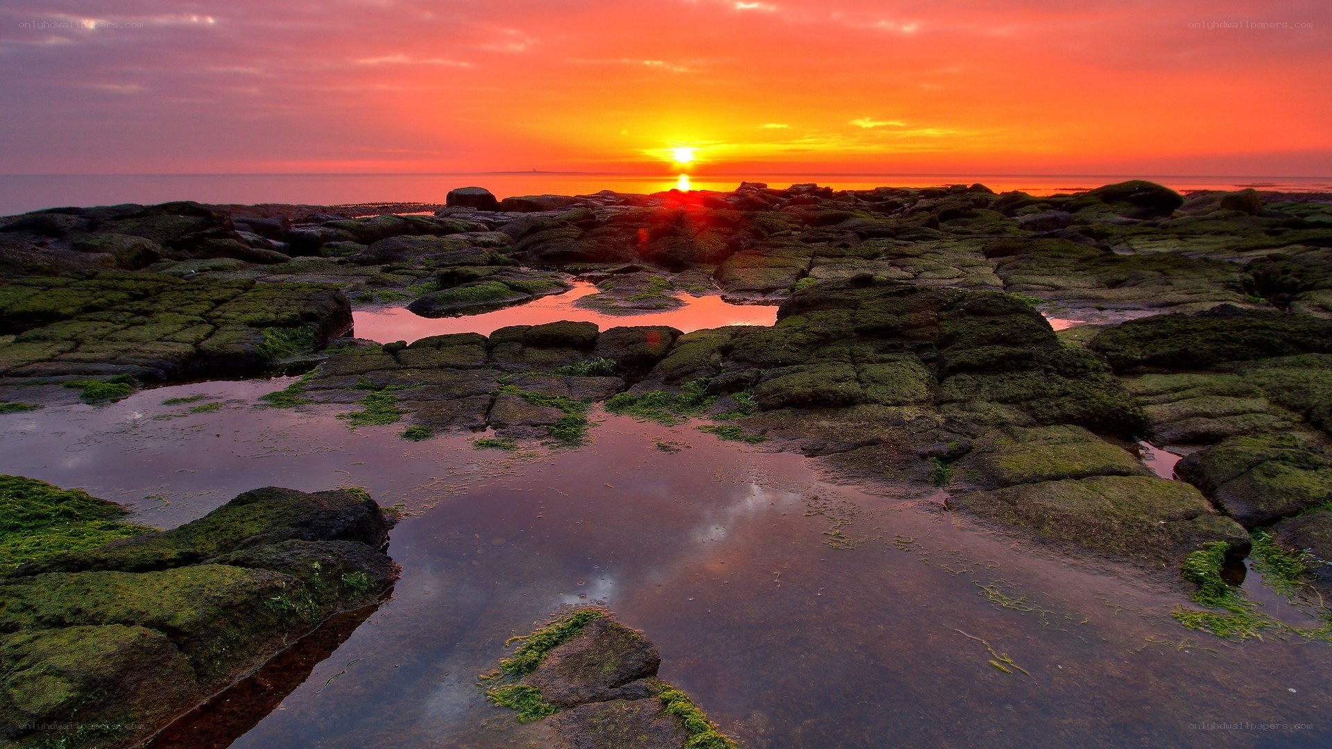 Sunset over rocky shoreline