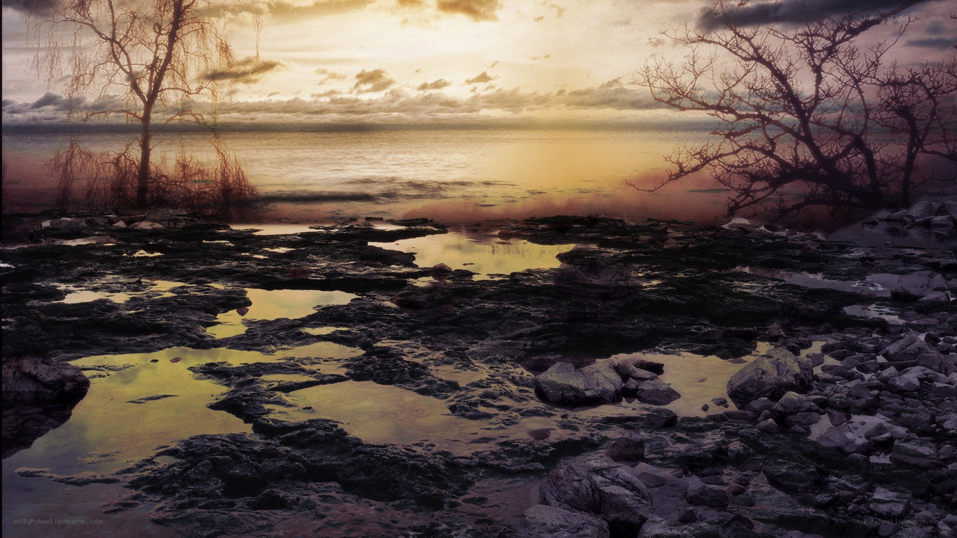 Sunset over rocky shoreline