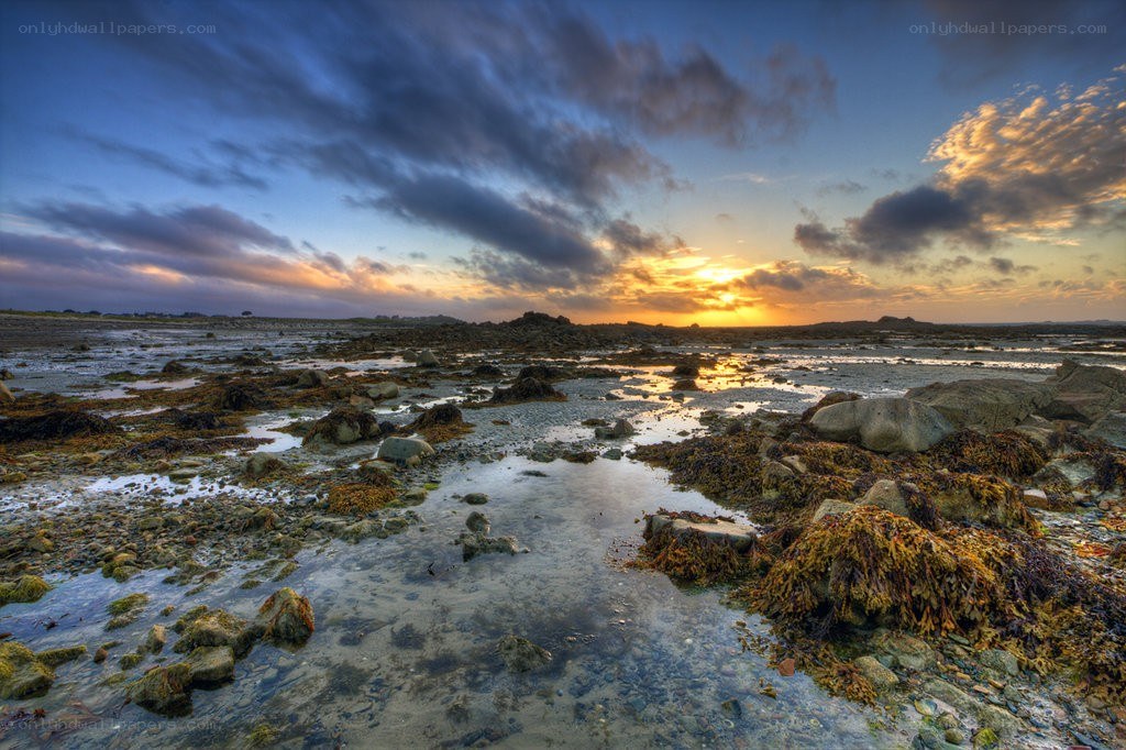 Sunset over rocky shoreline