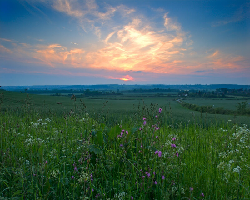 Sunset over rolling green fields