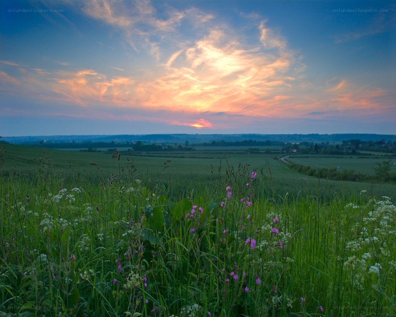 Sunset over rolling green fields