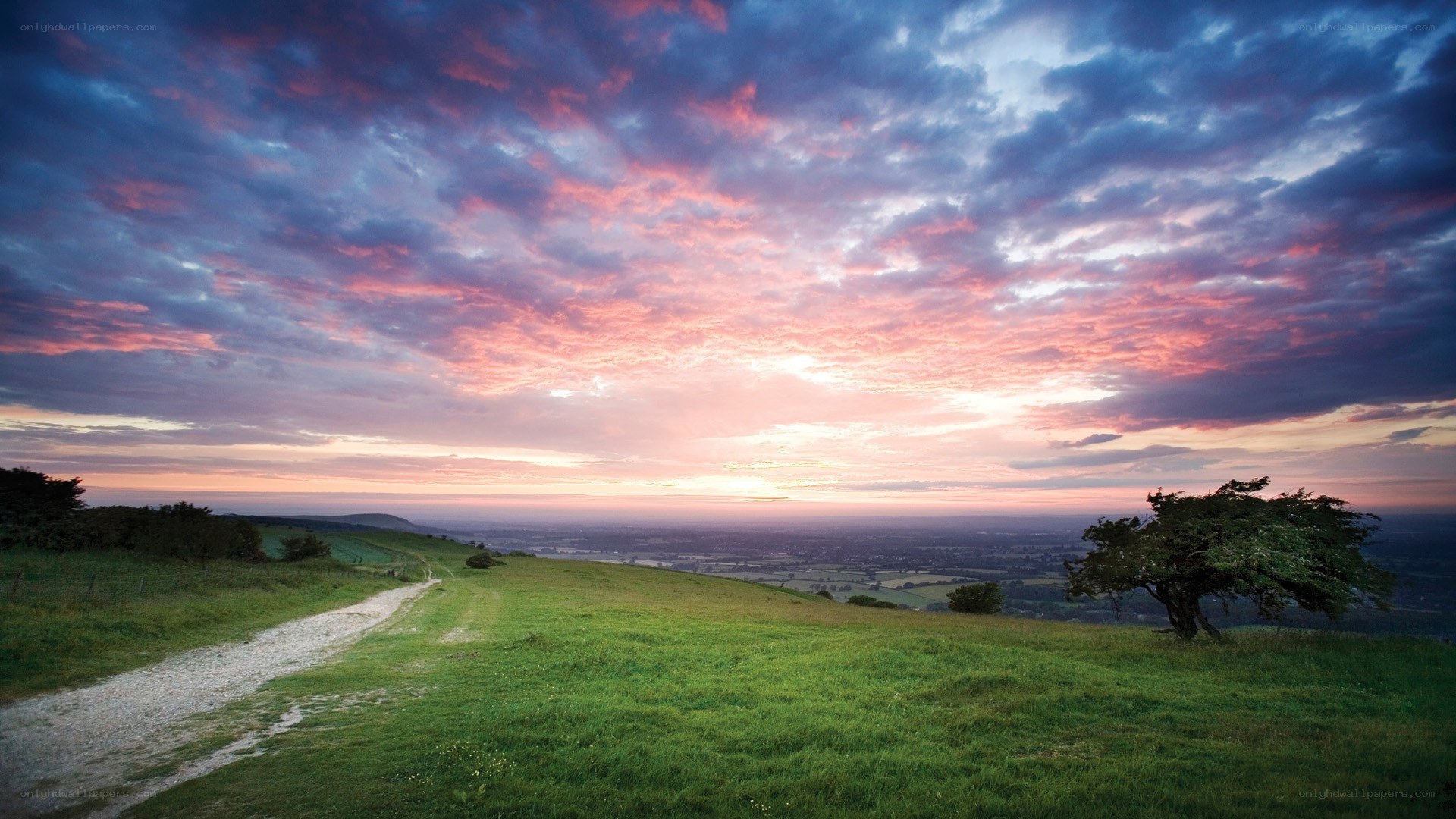 Sunset over rolling green hills