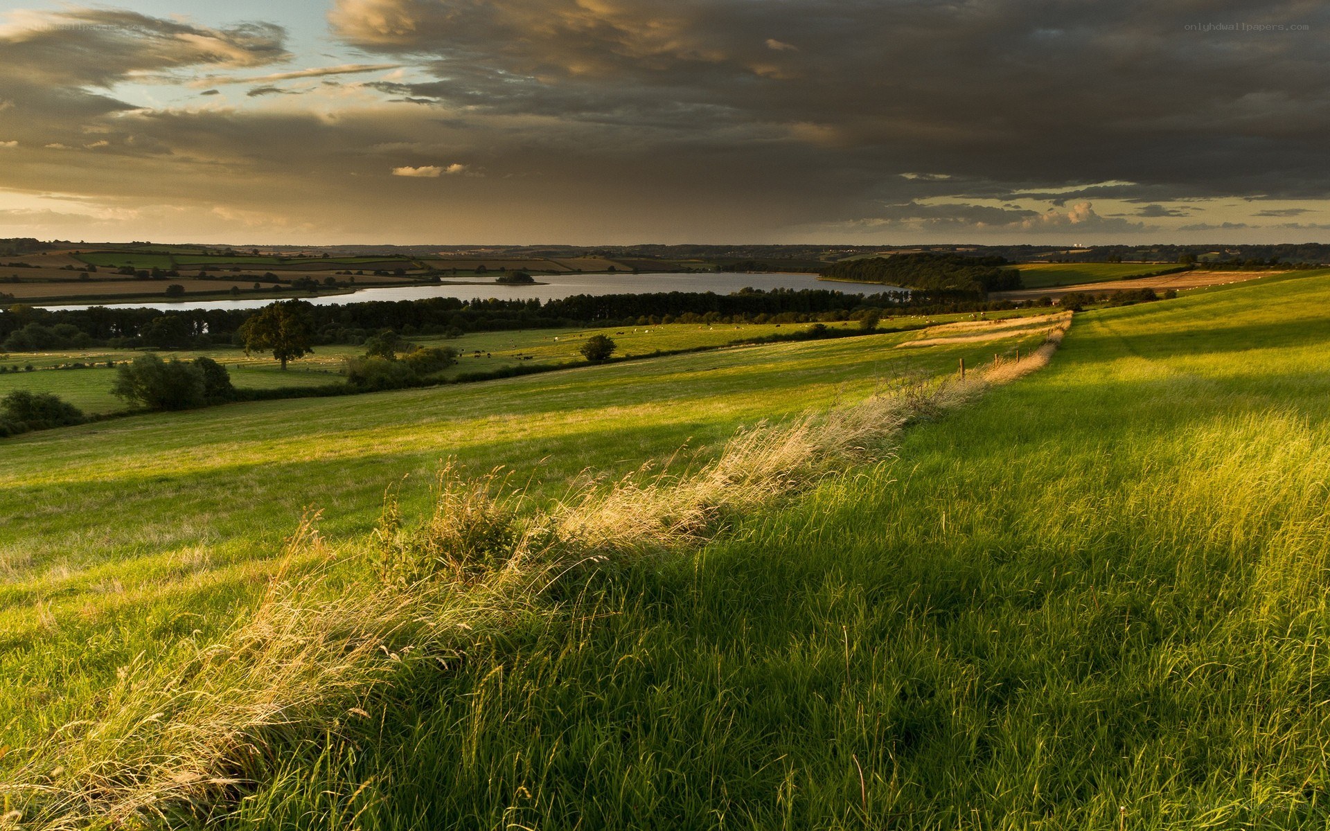 Sunset over rolling green hills
