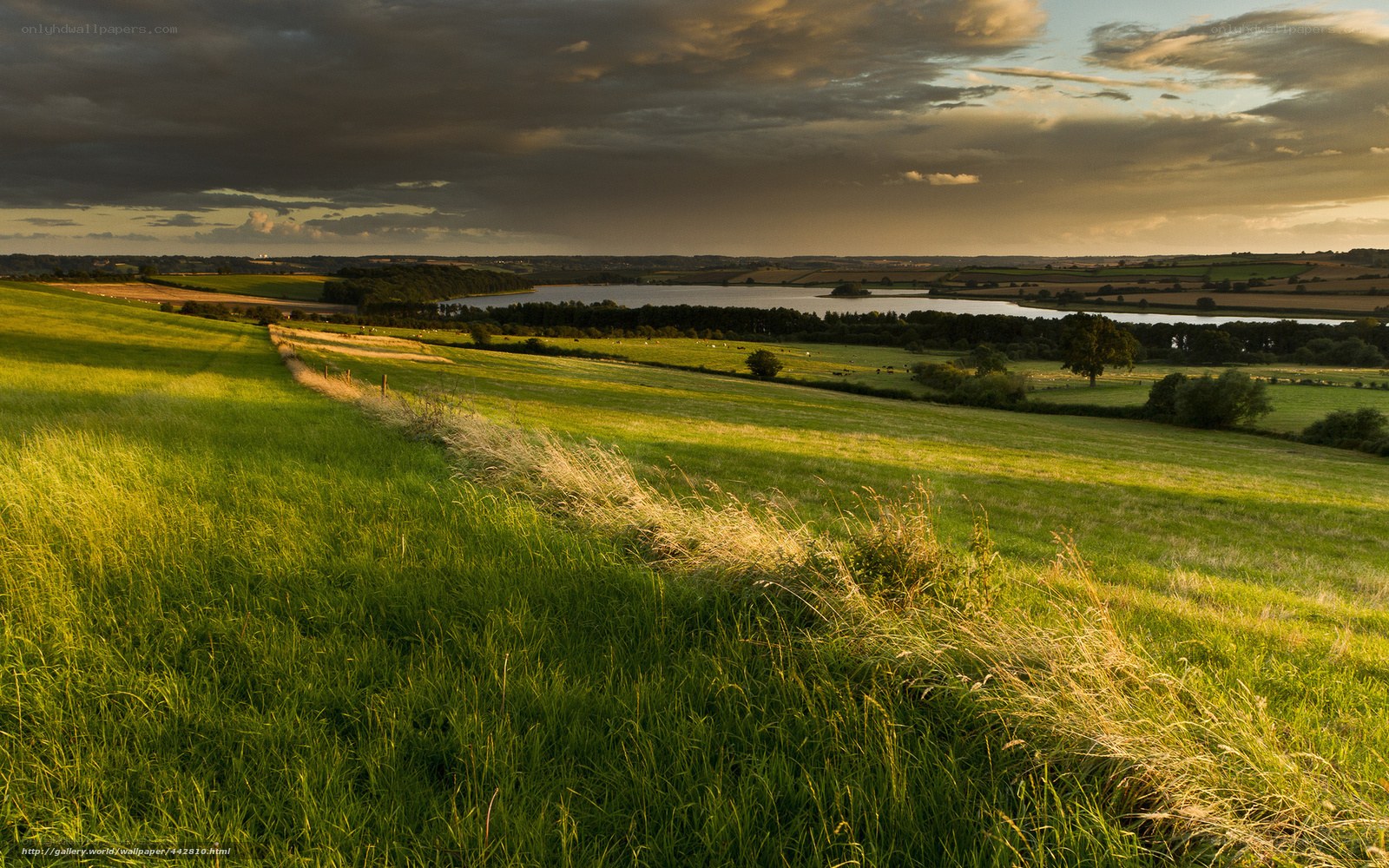 Sunset over rolling green hills