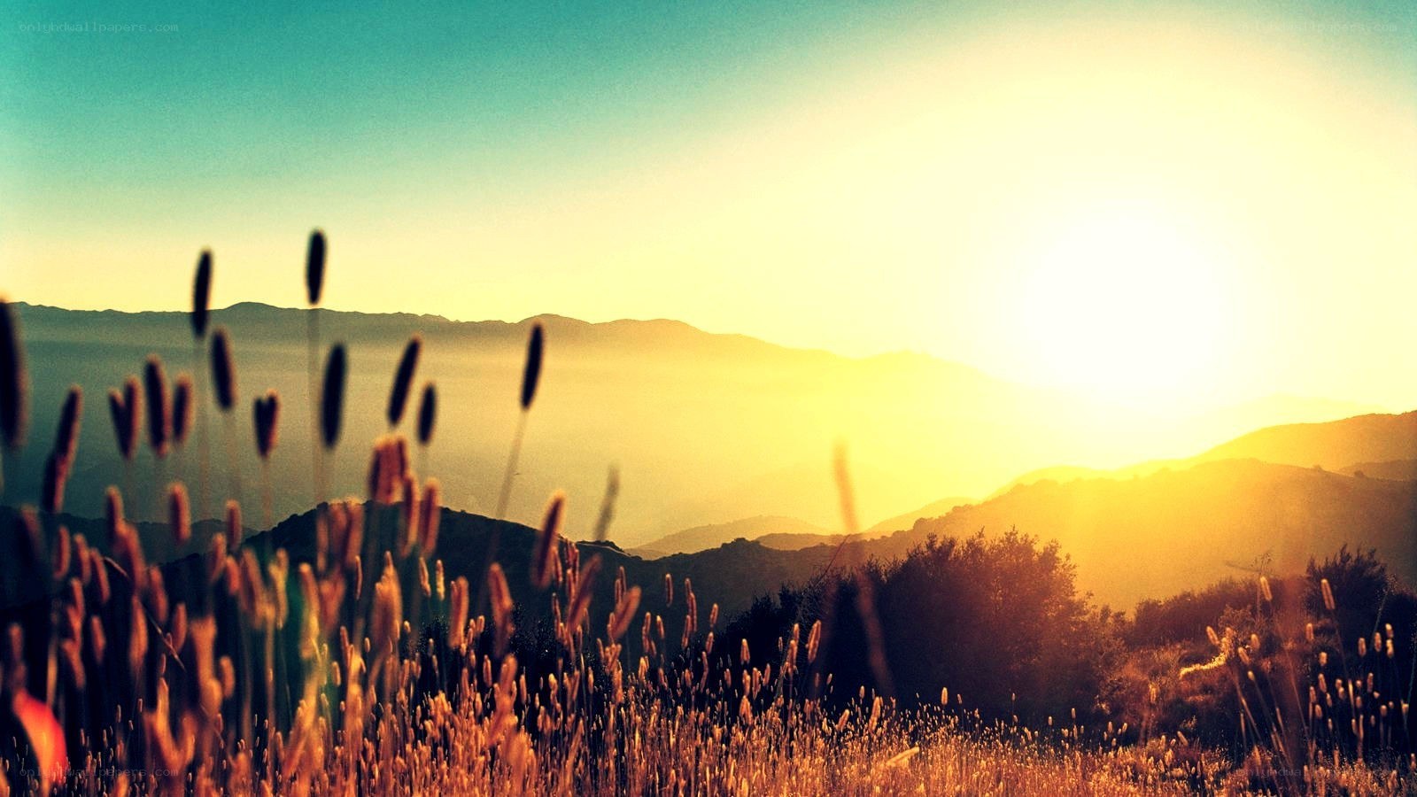 Sunset over rolling hills