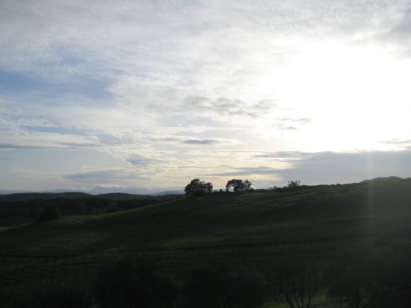 Sunset over rolling hills