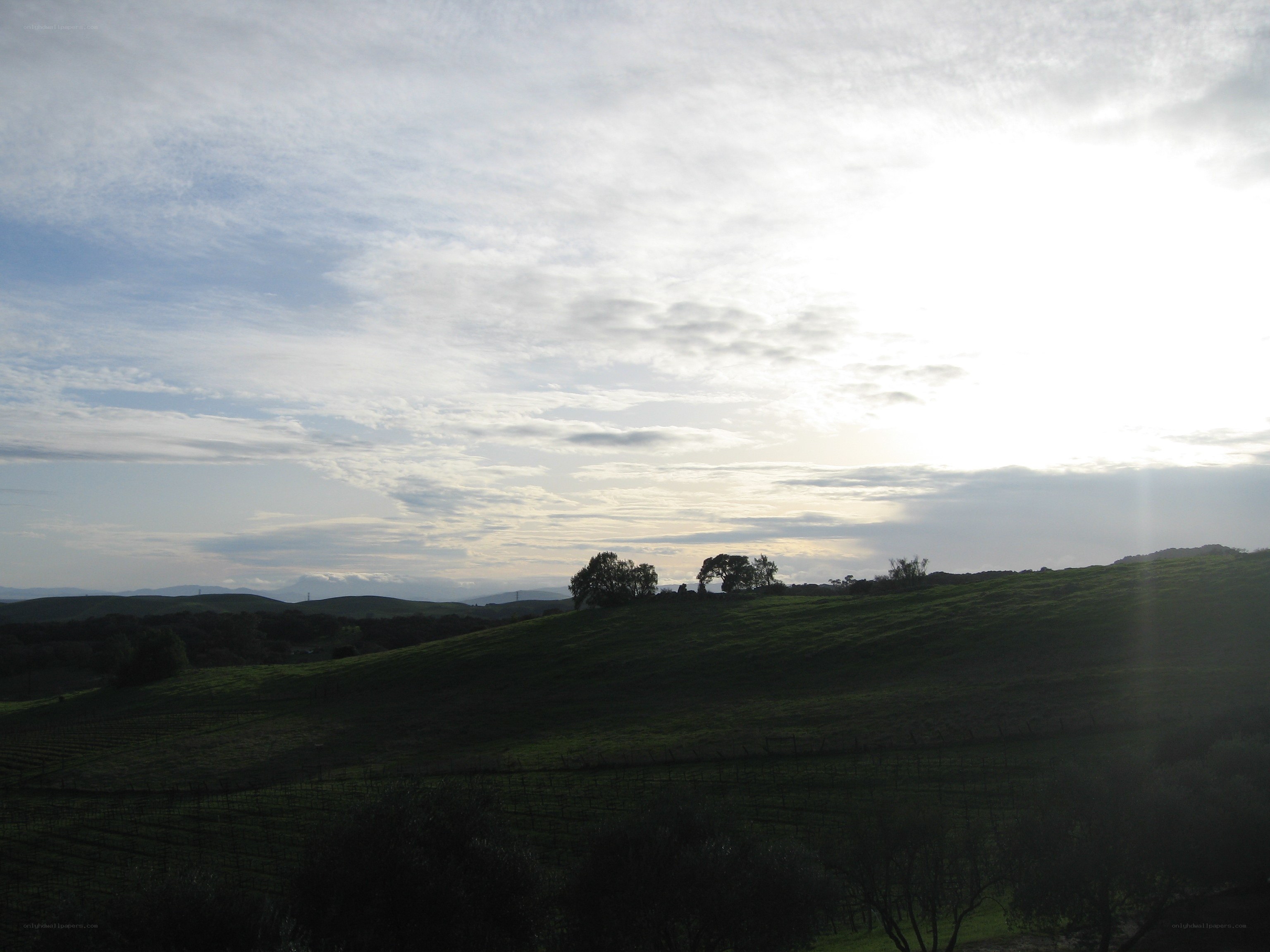 Sunset over rolling hills