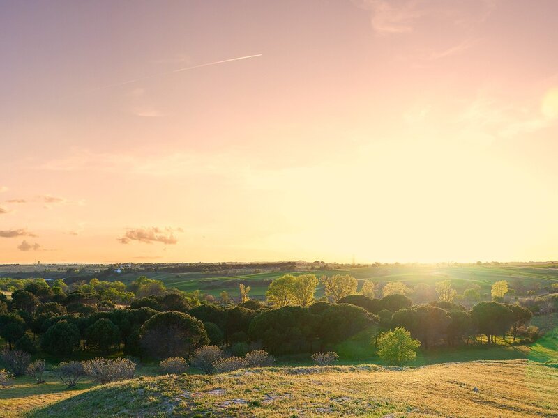 Sunset over rolling hills