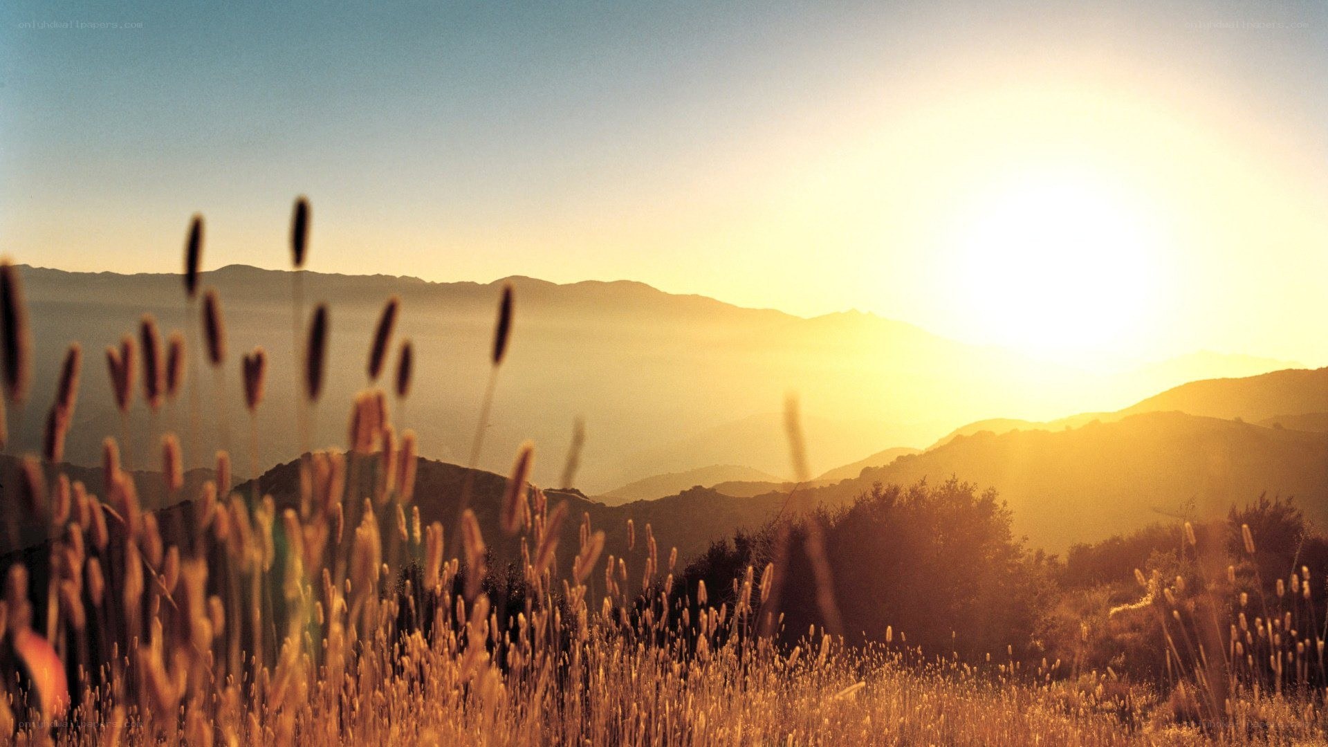 Sunset over rolling hills