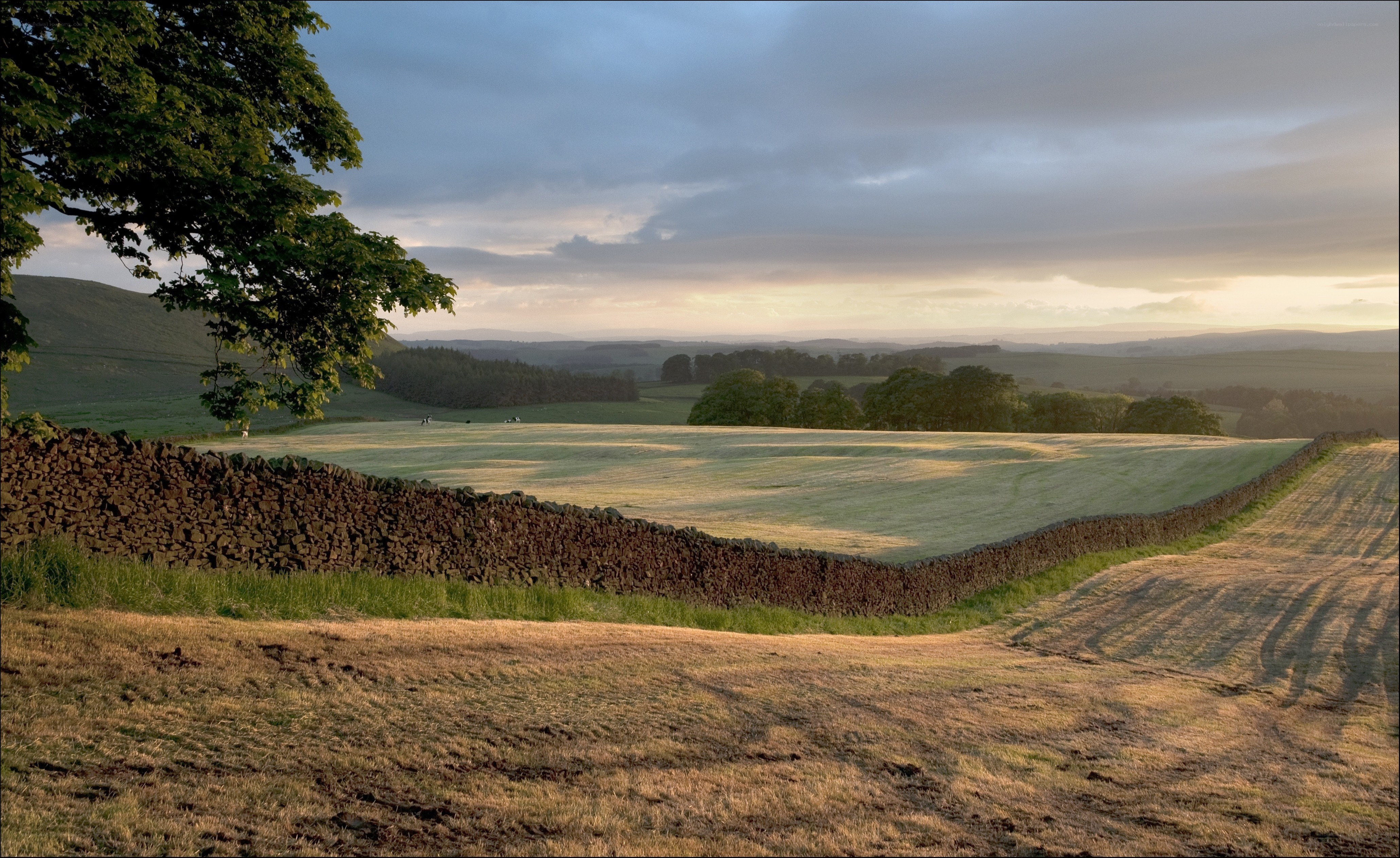 Sunset over rolling hills