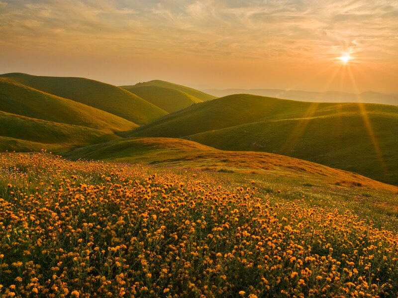 Sunset over rolling hills