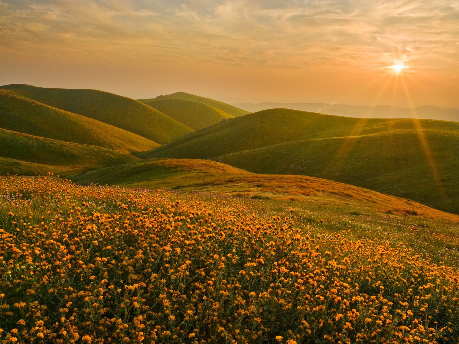 Sunset over rolling hills