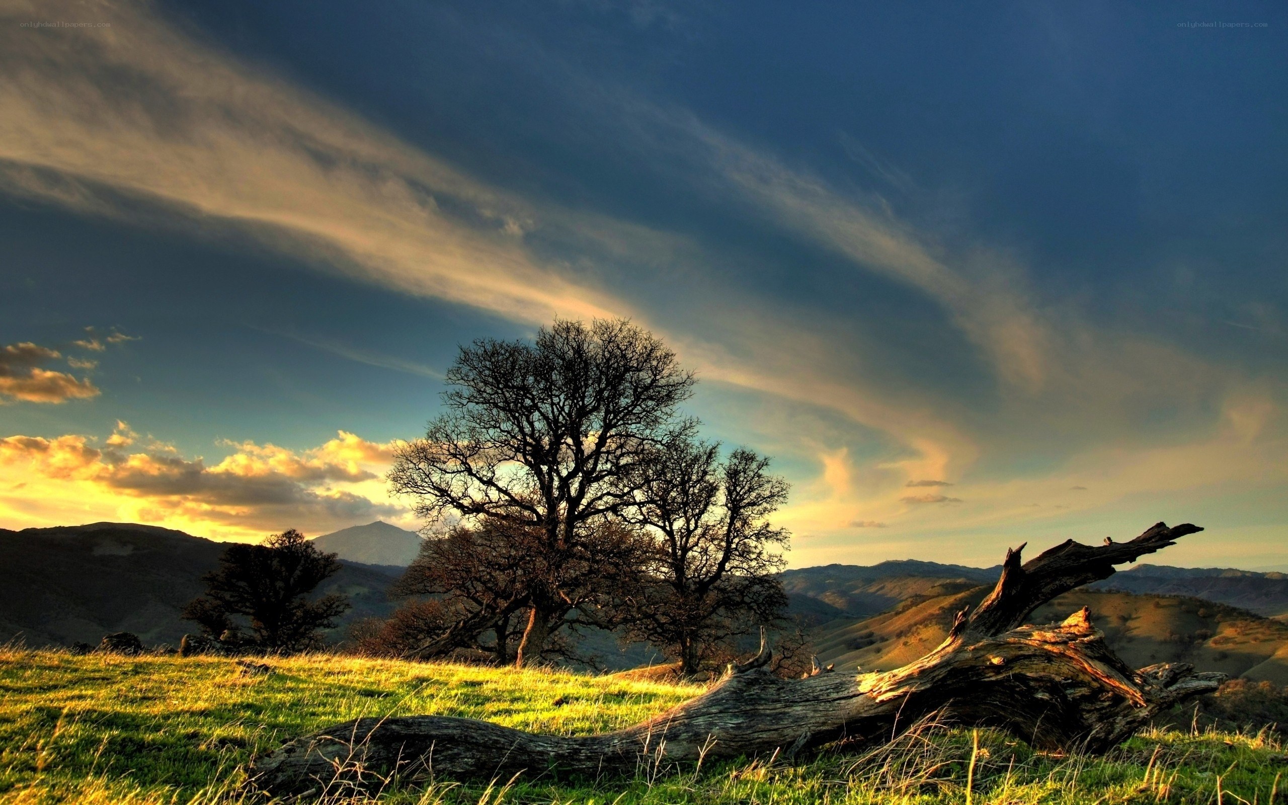 Sunset over rolling hills