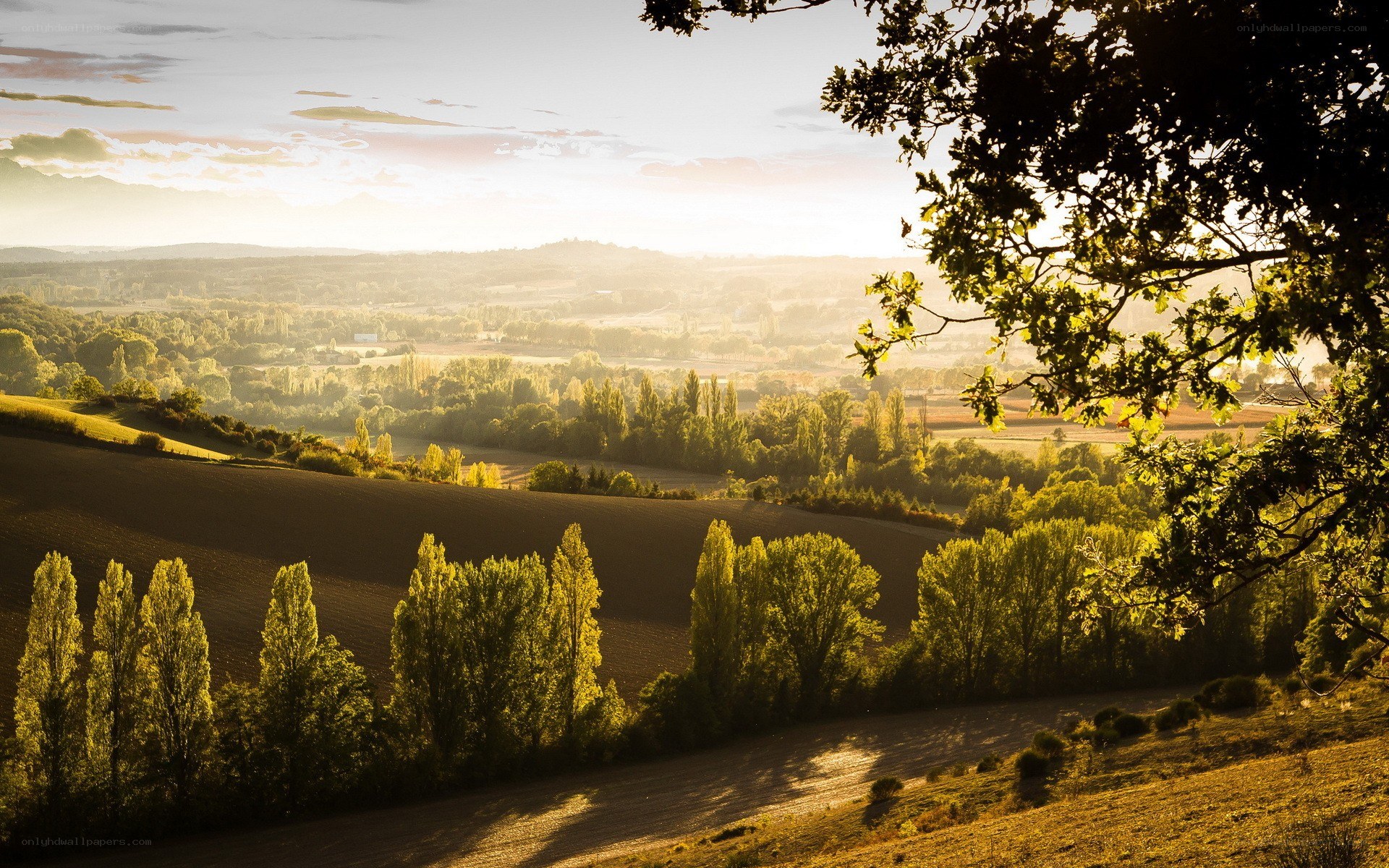 Sunset over rolling hills