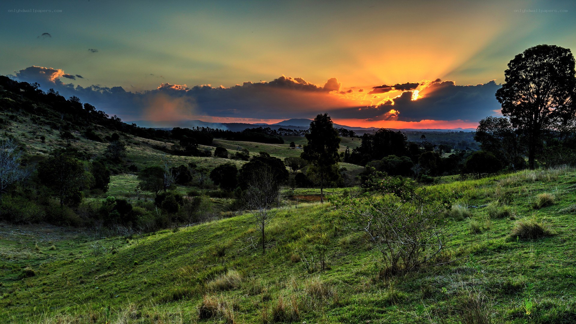 Sunset over rolling hills