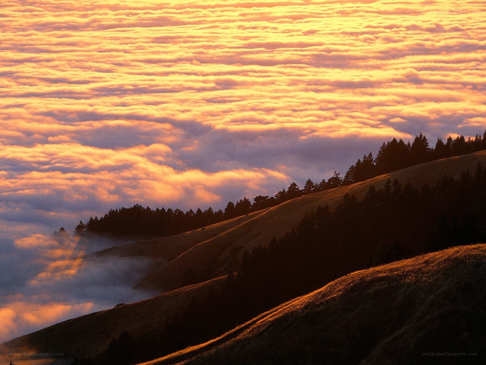 Sunset over rolling hills