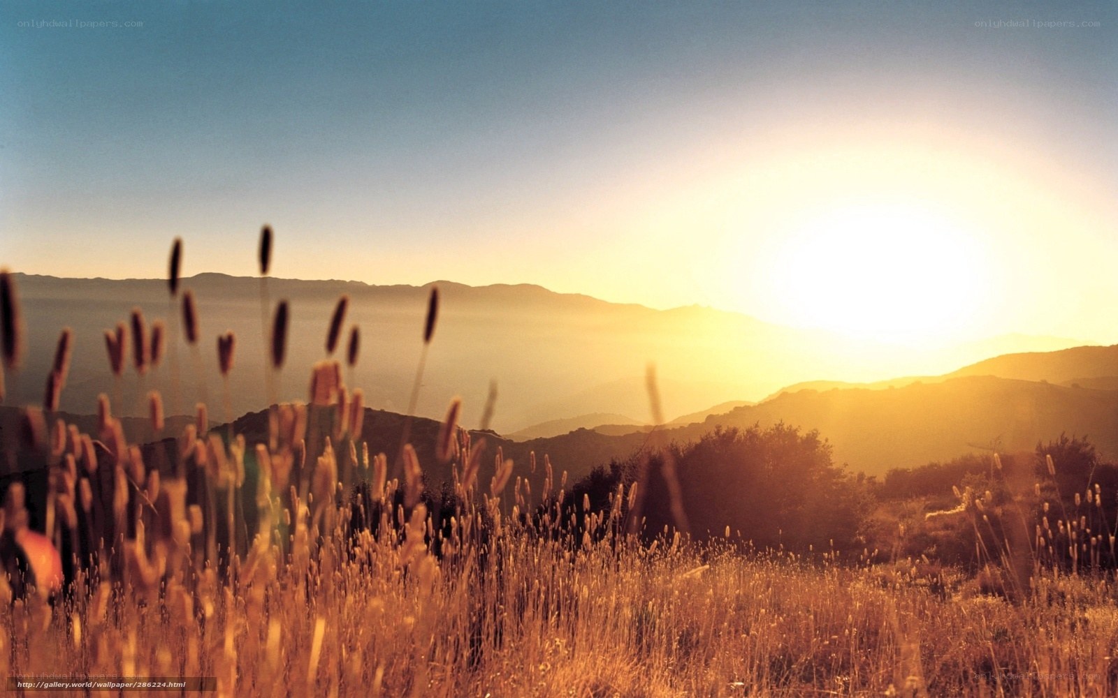 Sunset over rolling hills