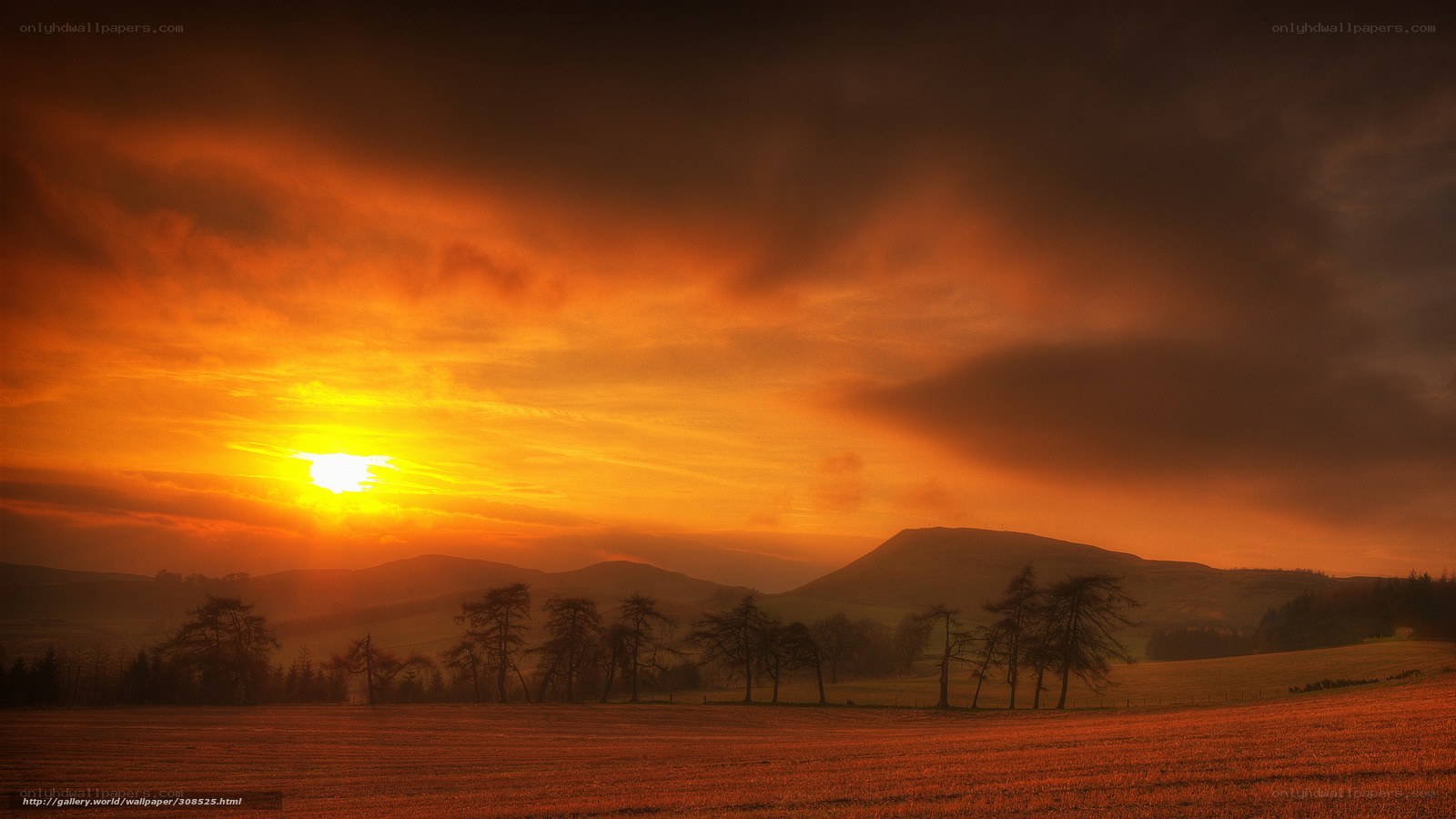 Sunset over rolling hills