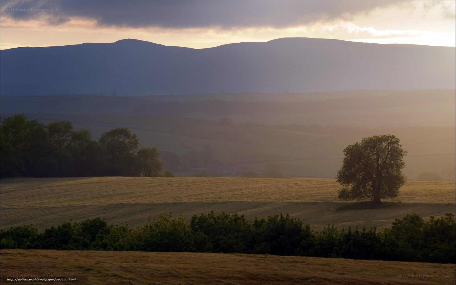 Sunset over rolling hills