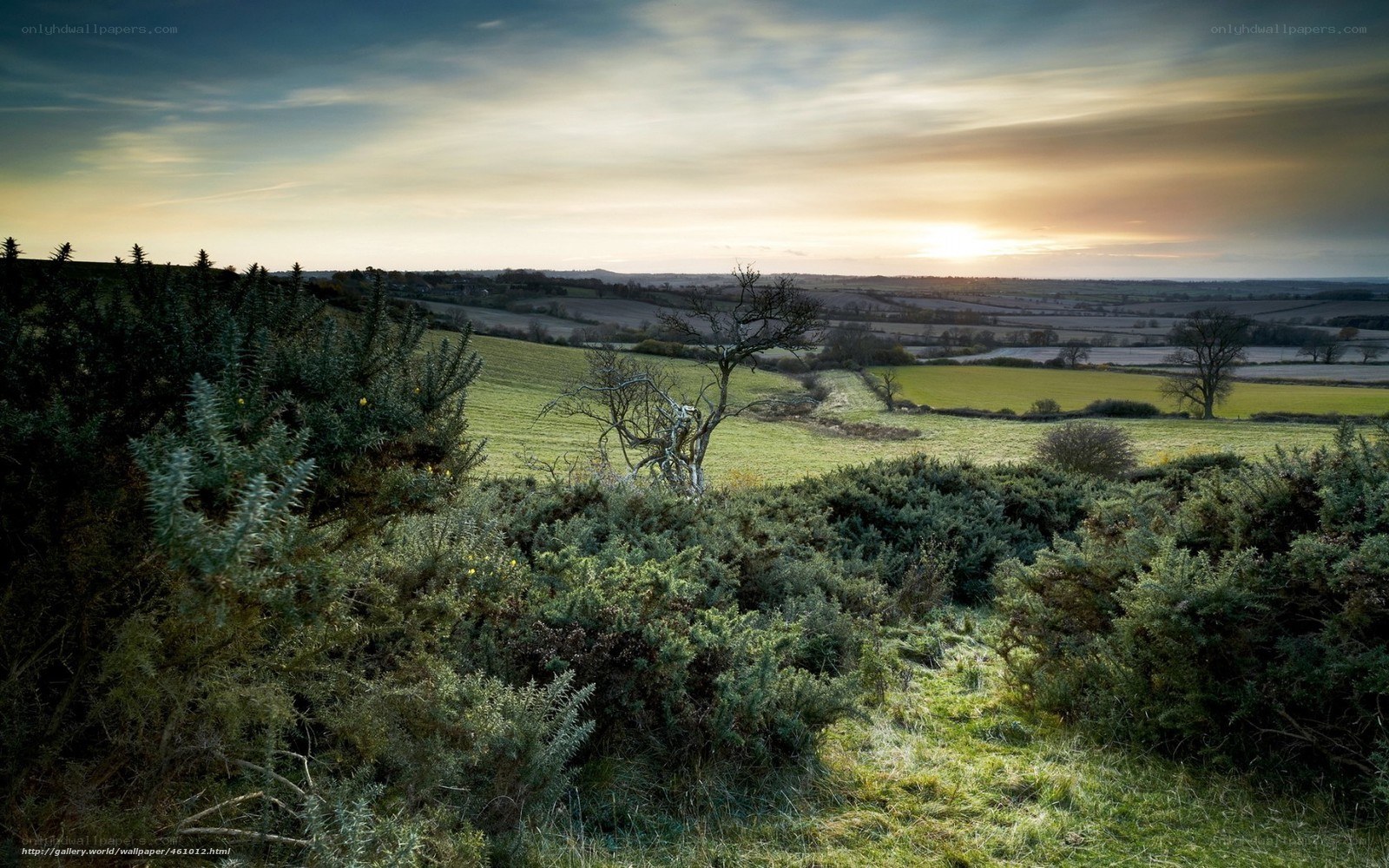 Sunset over rolling hills