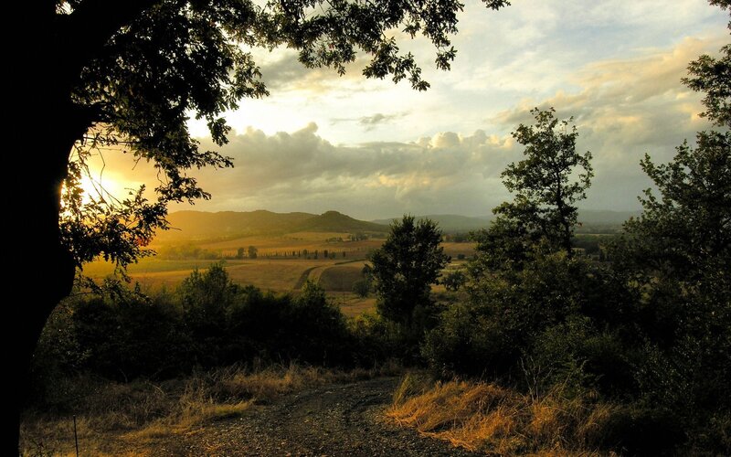 Sunset over Rolling Hills — Golden