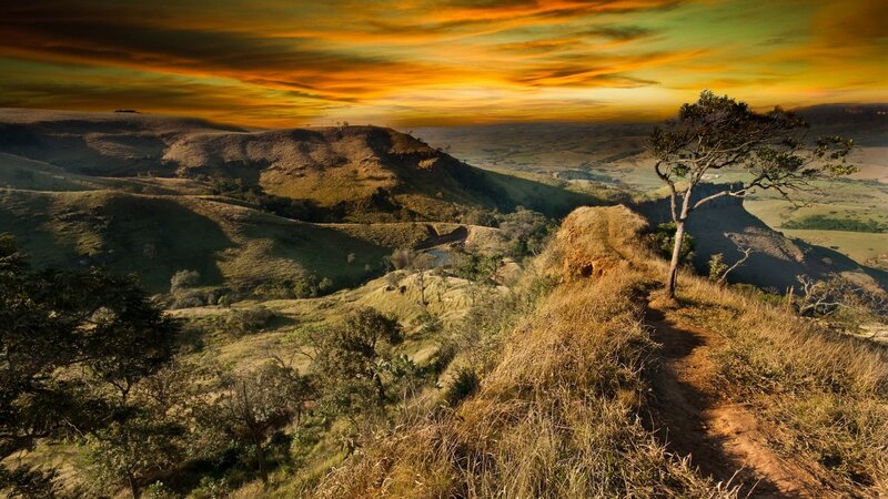 Sunset over Rolling Hills — Orange, Dramatic, Photograph, Tree