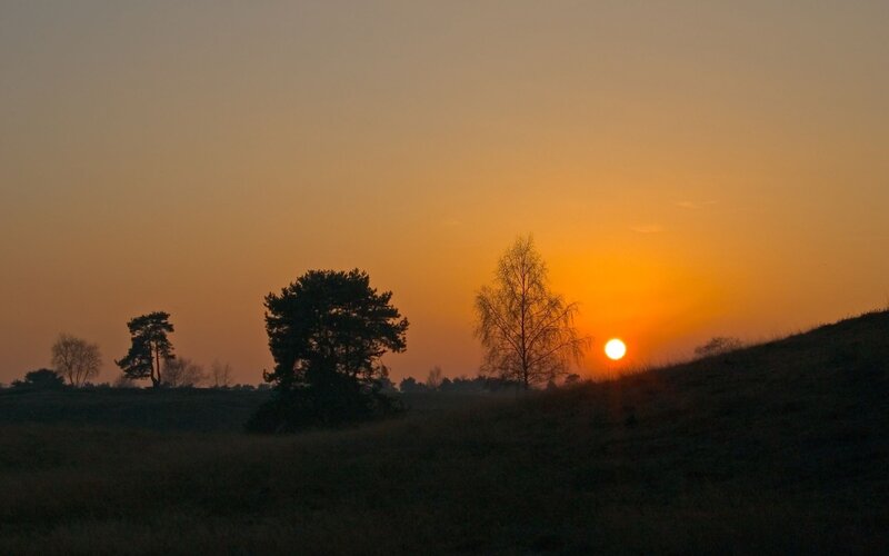 Sunset over Rolling Hills — Orange, Serene, Photograph, Trees