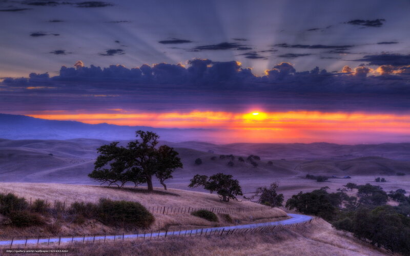 Sunset over Rolling Hills — Purple, Dramatic, Photograph, Trees