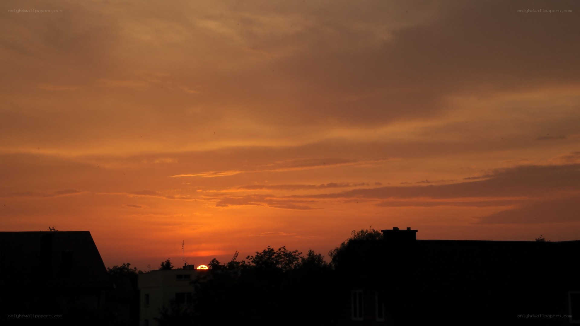 sunset over rooftops