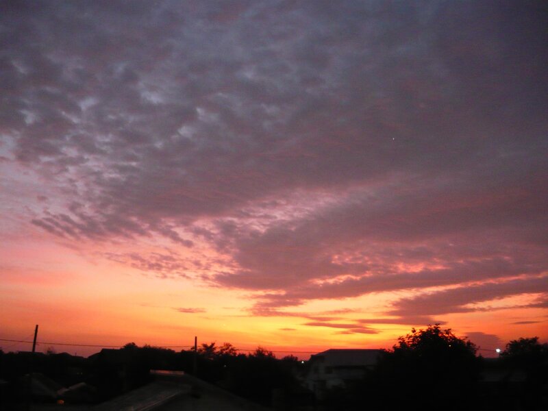 Sunset over Rooftops — Orange, Dramatic, Photograph, Trees