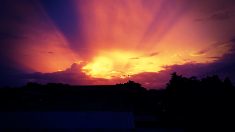 Sunset over Rooftops — Purple