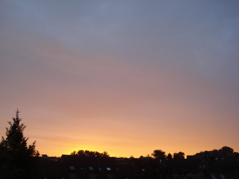 sunset over rooftops