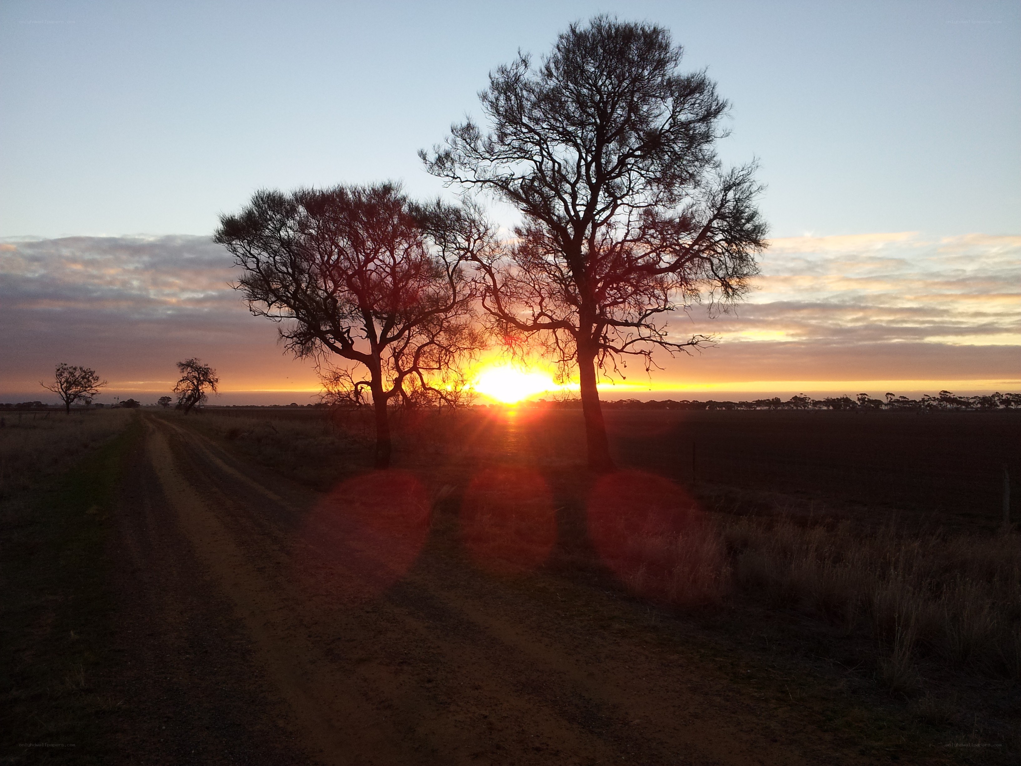 Sunset over rural dirt road
