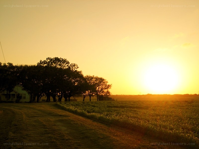 Sunset over rural farm field