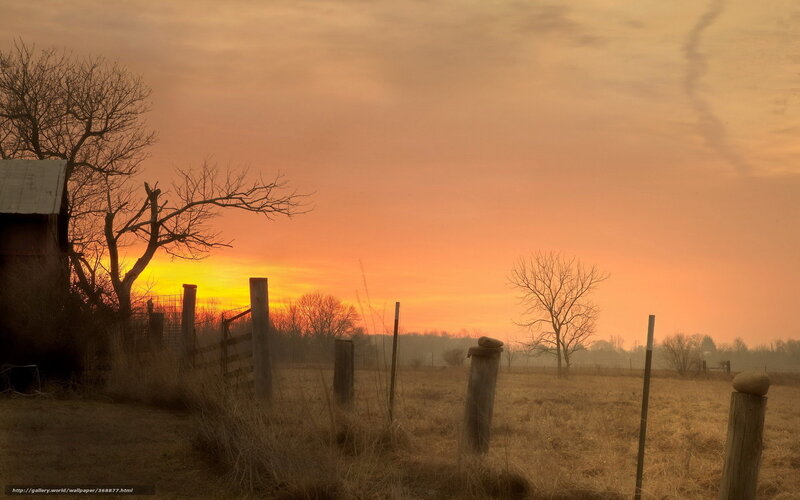 Sunset over Rural Field — Orange, Serene, Photograph