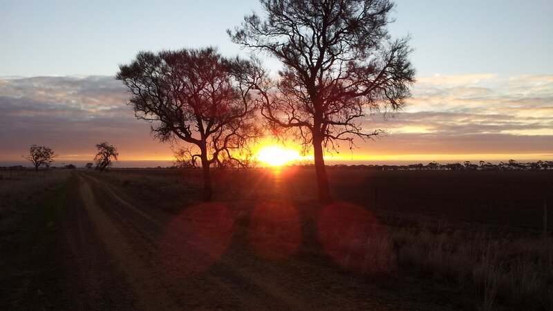Sunset over Rural Field — Orange, Serene