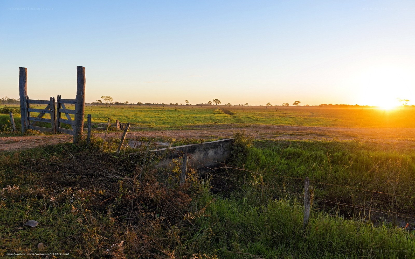 Sunset over rural field