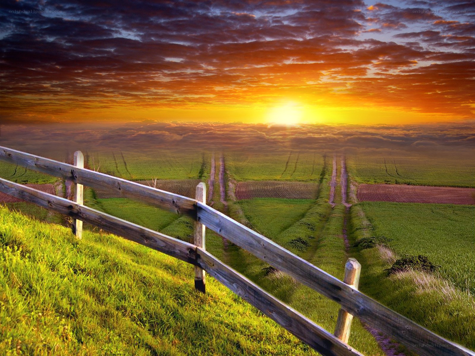 Sunset over rural fields