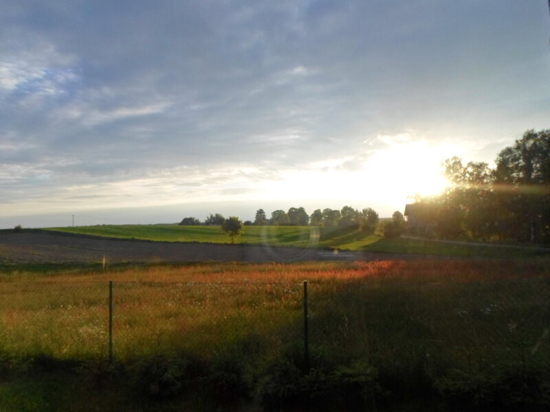 Sunset over Rural Fields — Green