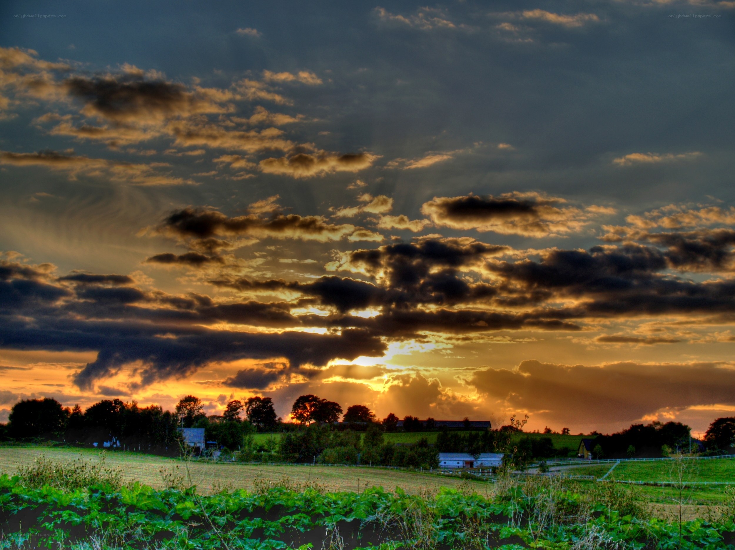 Sunset over rural landscape